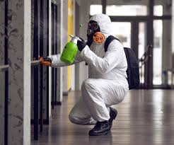 Best Mold Odor Removal Services  in Heyburn, ID