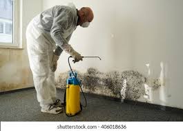 Best Emergency Mold Remediation  in Heyburn, ID